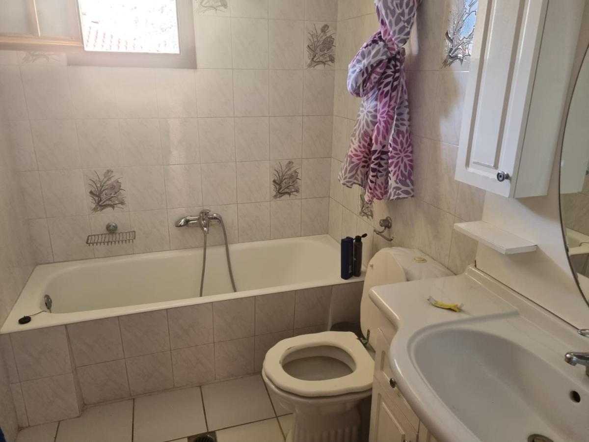 Apartment Theodoros 利昂尼迪翁 外观 照片